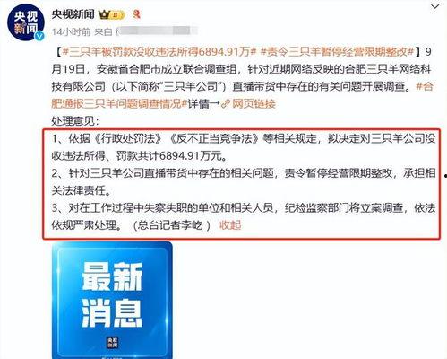 海门网红爆料新闻报道视频,揭秘热门新闻背后的真相
